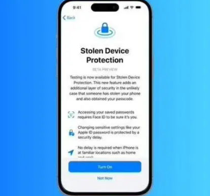 岭口镇苹果授权维修店分享被盗设备保护功能开启方法 