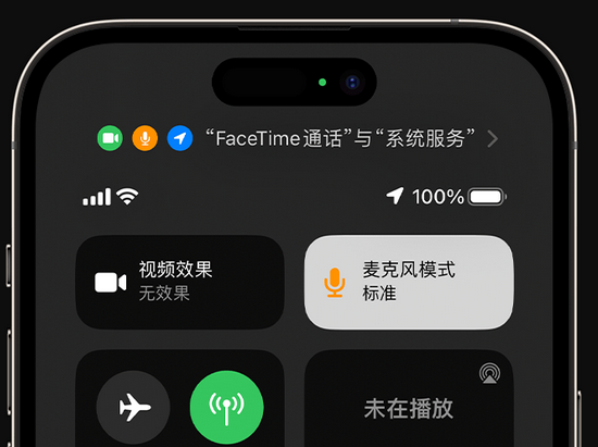 岭口镇苹果授权维修网点分享iPhone在通话时让你的声音更清晰 