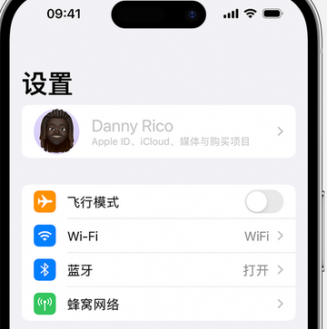 岭口镇appleID维修服务iPhone设置中Apple ID显示为灰色无法使用 