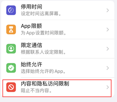 岭口镇appleID维修服务iPhone设置中Apple ID显示为灰色无法使用