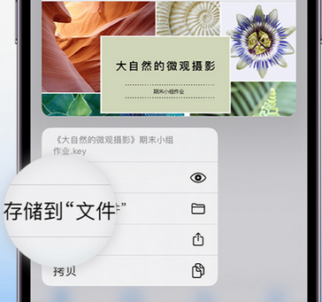 岭口镇apple维修中心分享iPhone文件应用中存储和找到下载文件