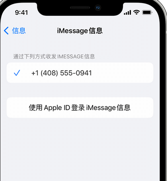 岭口镇apple维修iPhone上无法正常发送iMessage信息