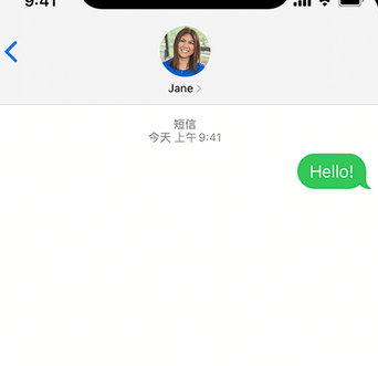 岭口镇apple维修iPhone上无法正常发送iMessage信息