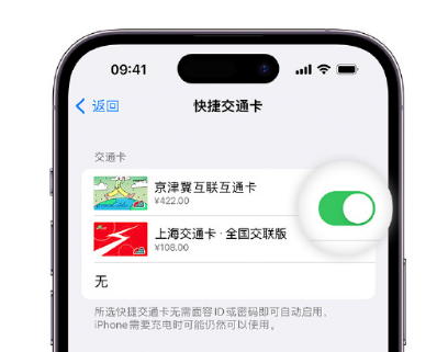 岭口镇apple维修点分享iPhone上更换Apple Pay快捷交通卡手绘卡面 