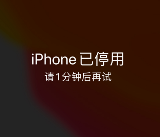 岭口镇苹果手机维修分享:iPhone 显示“不可用”或“已停用”怎么办？还能保留数据吗？ 