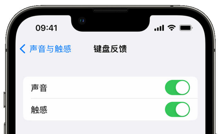 岭口镇苹果手机维修分享iPhone 14触感键盘使用方法 