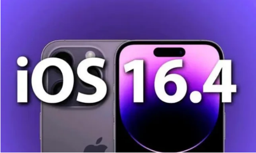 岭口镇苹果14维修分享：iPhone14可以升级iOS16.4beta2吗？ 