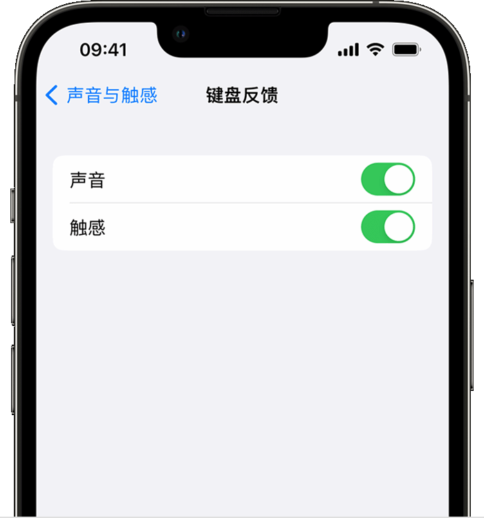 岭口镇苹果14维修店分享如何在 iPhone 14 机型中使用触感键盘 