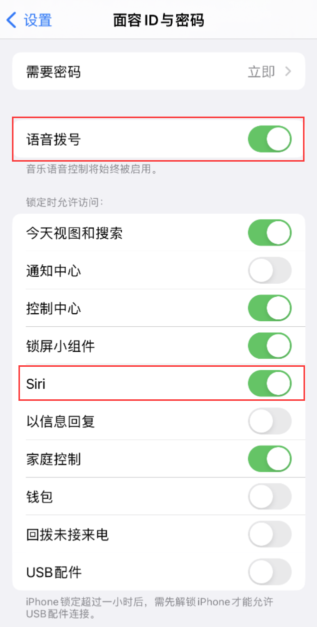 岭口镇苹果维修网点分享不解锁 iPhone 的情况下通过 Siri 拨打电话的方法 