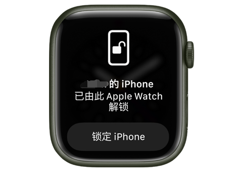 岭口镇苹果手机维修分享用 AppleWatch 解锁配备面容 ID 的 iPhone方法 