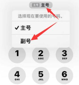 岭口镇苹果14维修店分享iPhone 14 Pro Max使用副卡打电话的方法 