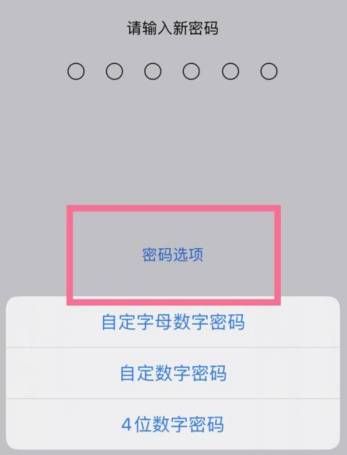 岭口镇苹果14维修分享iPhone 14plus设置密码的方法 