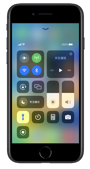 岭口镇苹果14维修分享苹果iPhone 14 Pro手电筒开启方法 