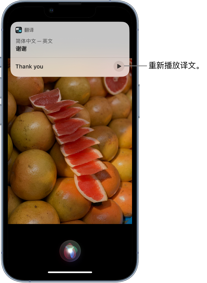 岭口镇苹果14维修分享 iPhone 14 机型中使用 Siri：了解 Siri 能帮你做什么 