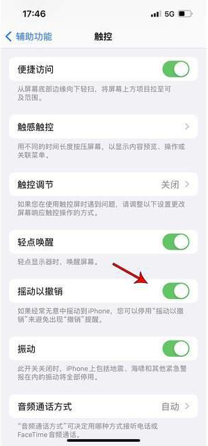 岭口镇苹果手机维修分享iPhone手机如何设置摇一摇删除文字 