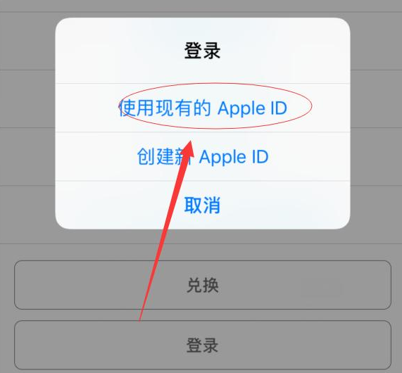 岭口镇苹果手机维修分享两台iPhone设备可以同时登录一个Apple ID吗 