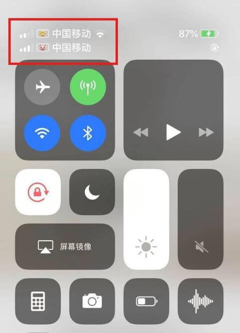 岭口镇苹果手机维修分享为 iPhone 12 双卡设置标签 