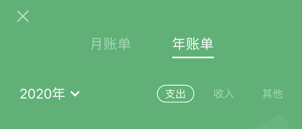 岭口镇苹果手机维修分享如何在 iPhone 上查看支付宝和微信年支出账单 