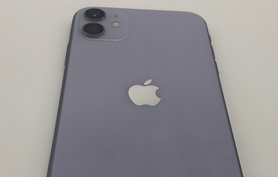 岭口镇苹果11系统维修分享iPhone11手机系统崩溃无法开机如何解决