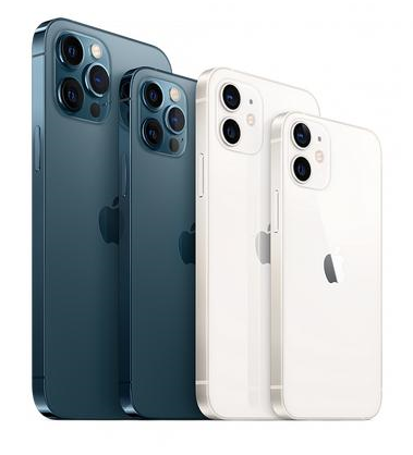 岭口镇苹果维修点分享iPhone 12 Pro黑屏小众问题解析 